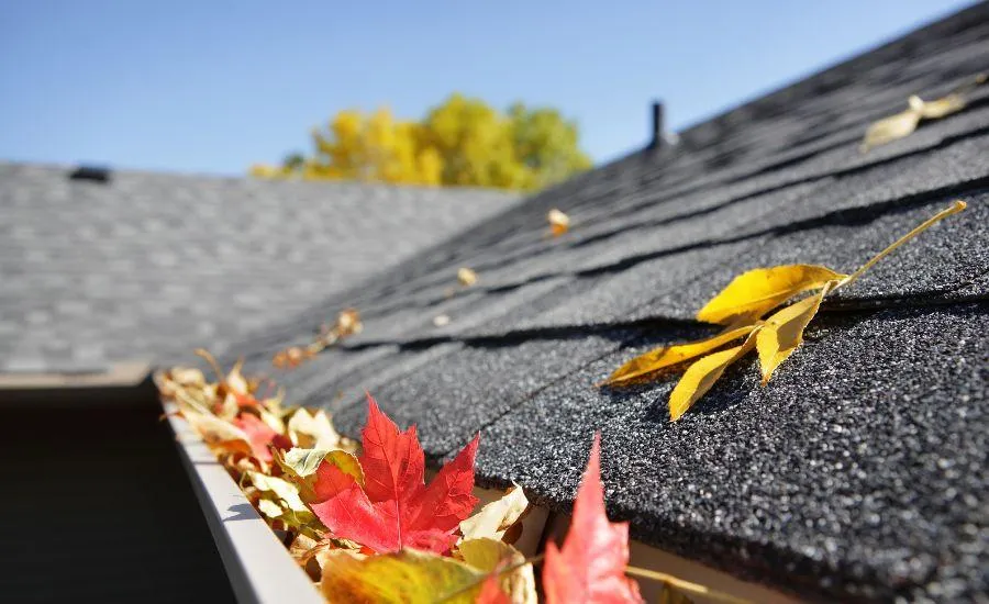 Roof Maintenance For The PNW